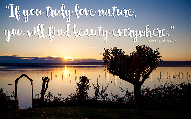 if you truely love nature, you will find beauty everywhere. quote by laura ingalls wilder image